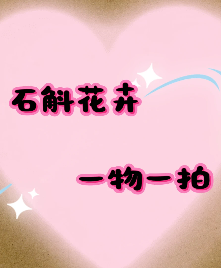 一物一拍（球花，黑毛，长苏类石斛）春季美观夏季客厅兰花黄色庭院
