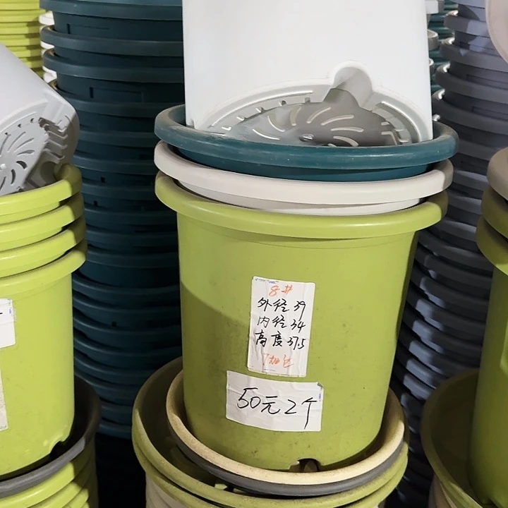 四季8#口径39果绿3个无托