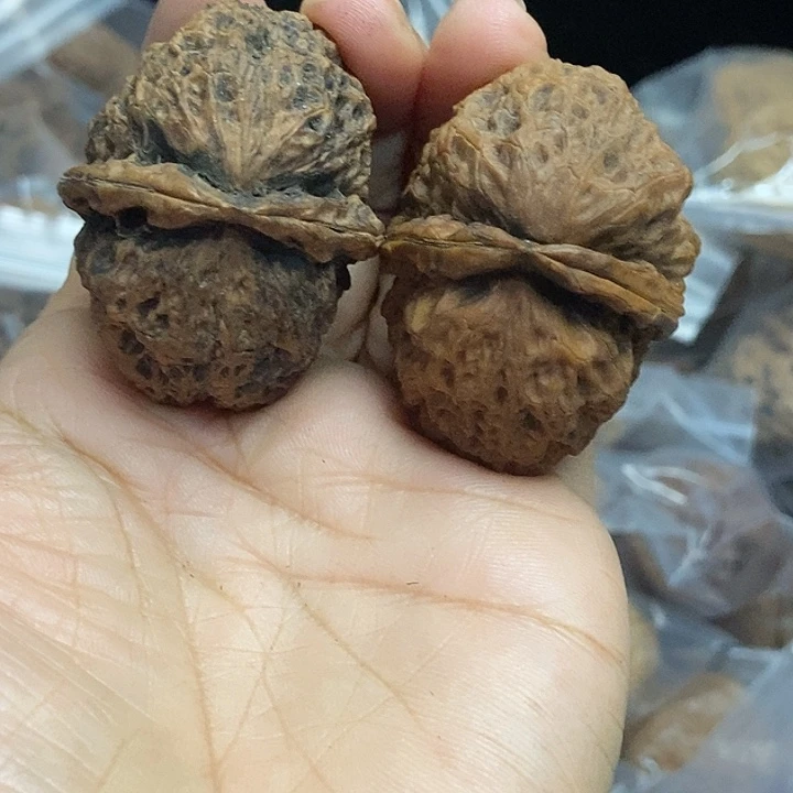 木质类云南铁核桃+63