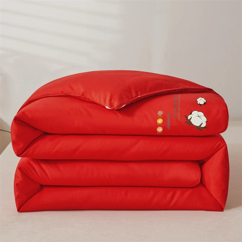 2025新款直播水洗棉新疆棉花被被子被芯 冬被春秋被