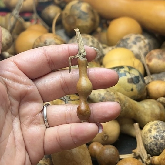 闪*手葫芦葫芦葫芦葫芦