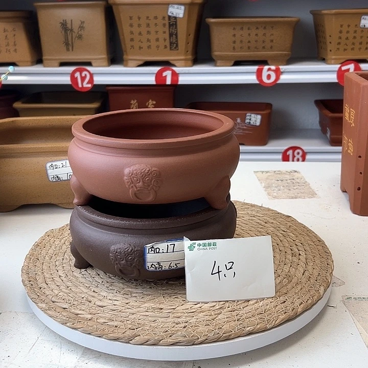 紫砂花盆蛇年大吉