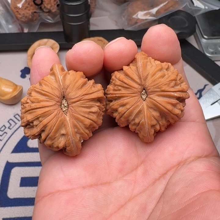 把件桃核山地磨盘42+尺23