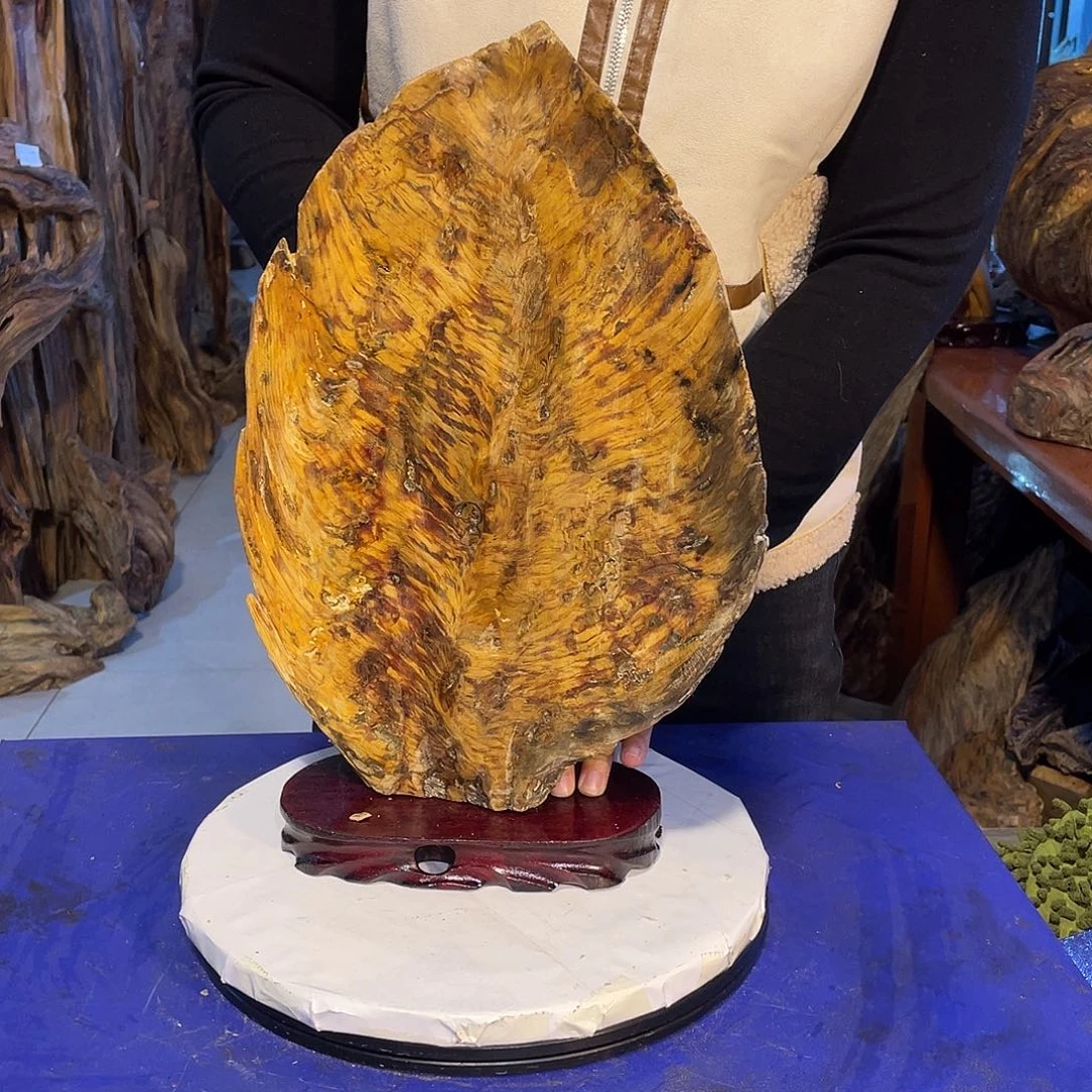 物***萬松木（琥珀木）北沉香