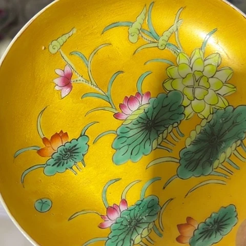 你是什么时候才睡嘛乖猪