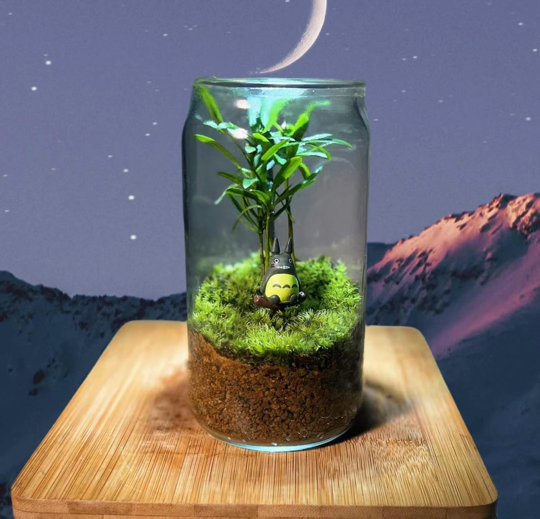 罗汉松苔藓龙猫耐活生态瓶办公室创意高端微景观造景