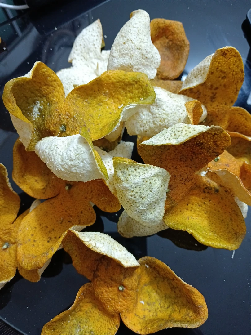 2022年三十年老树断皮