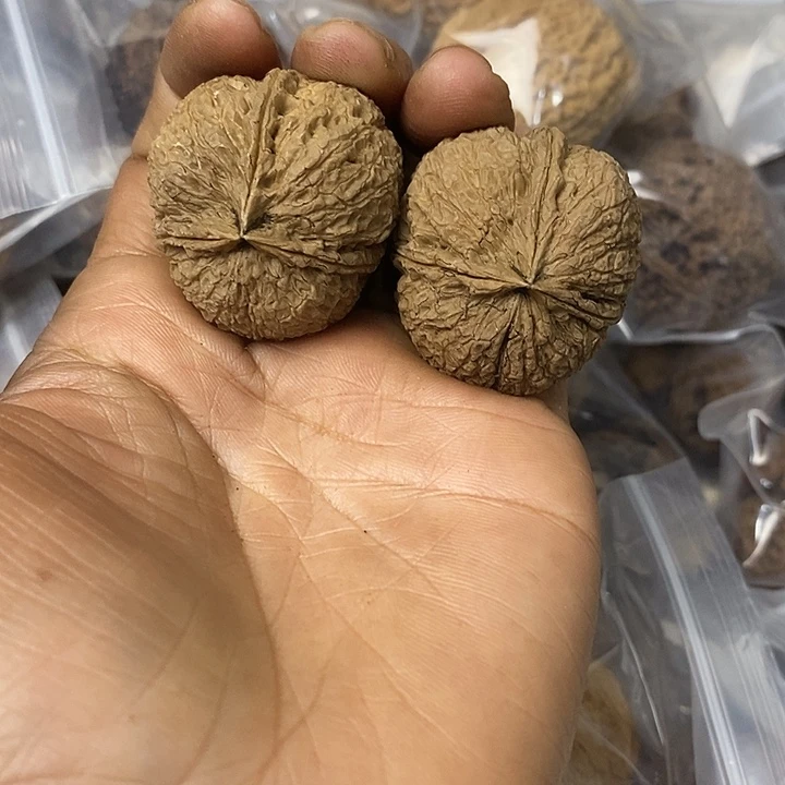 核桃云南铁核桃基地30