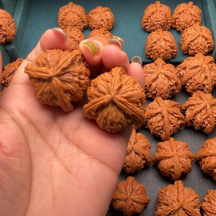 喜***徐核桃888888888888888