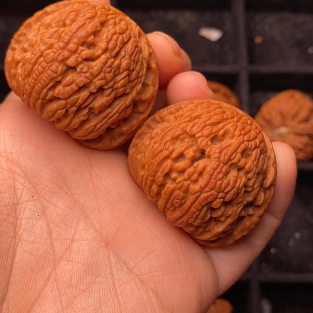文玩核桃把件秦岭野生核桃