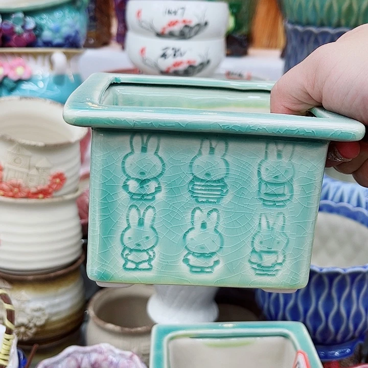 多肉植物陶瓷花盆