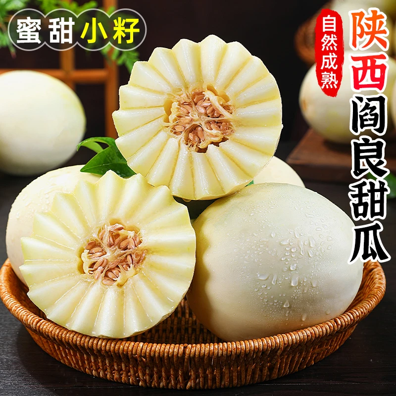 【香甜多汁】陕西阎良甜瓜1.6-9斤软糯香甜小籽蜜瓜香瓜新鲜水果