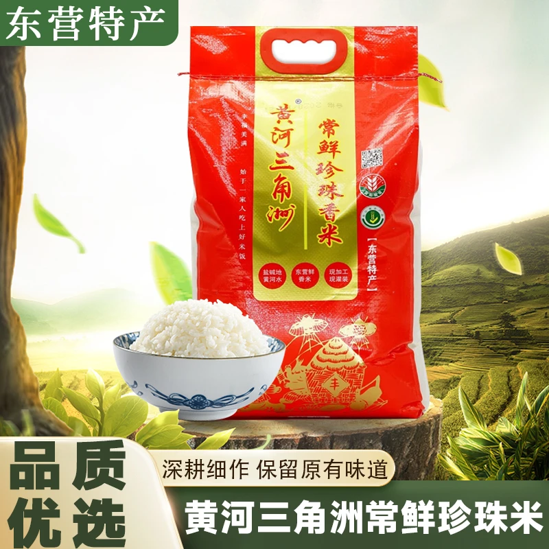 【5kg】东营黄河口大米黄河三角洲常鲜珍珠香米粳米优质新米黄河