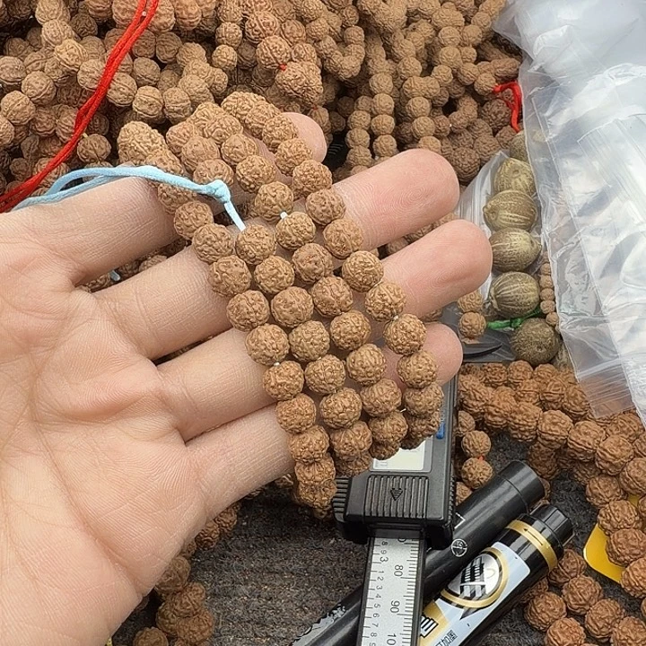 雄***鹰金刚菩提吊坠谢谢