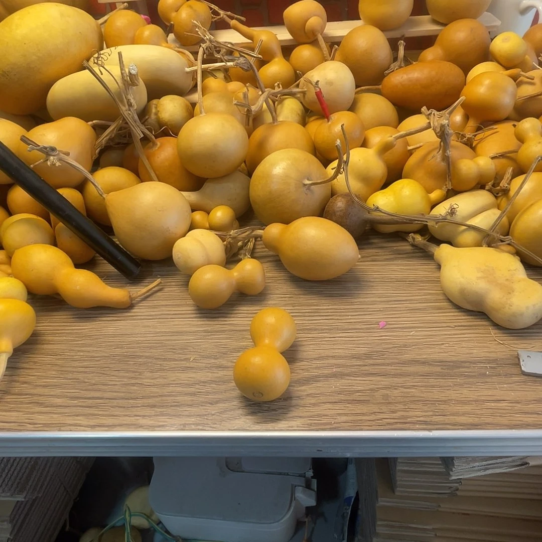 用***1羊羔毛哈哈哈哈哈哈哈哈哈