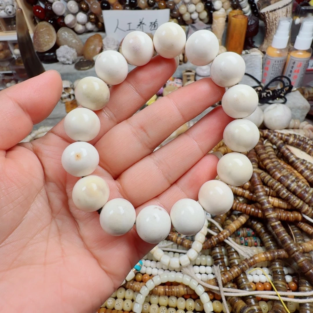 其他鹿骨?****?00000000000766