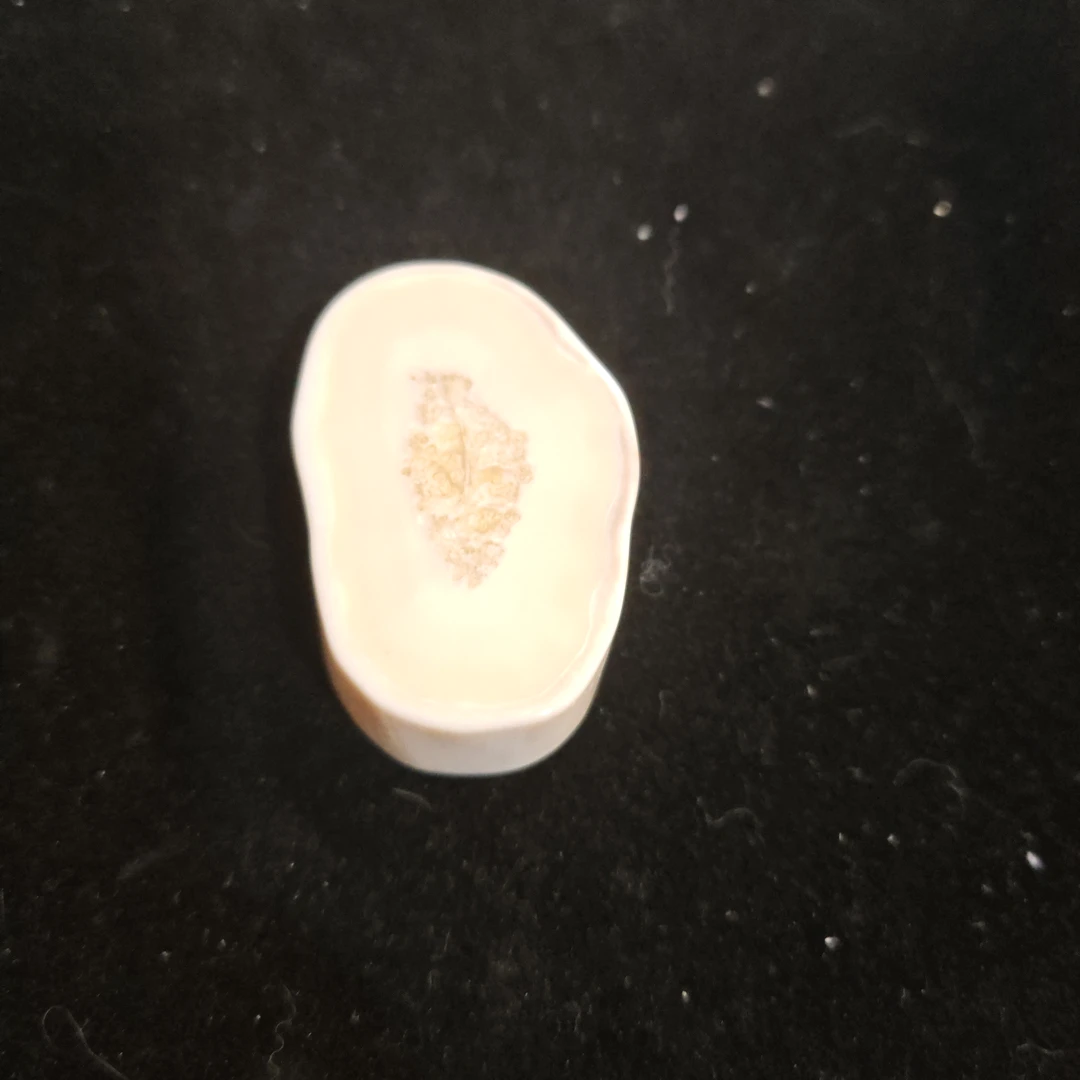 猛犸猛犸虬饼子WW858