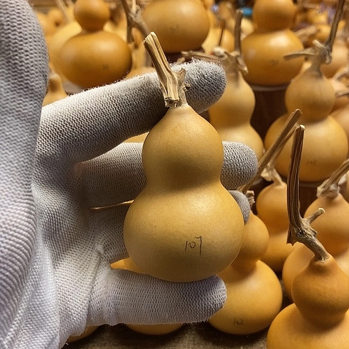 文玩葫芦 完美主义者 慎拍107