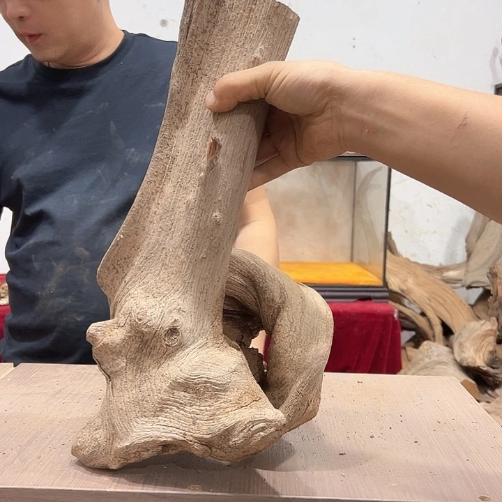 柏木木****馆我们的生活是以自己为中心