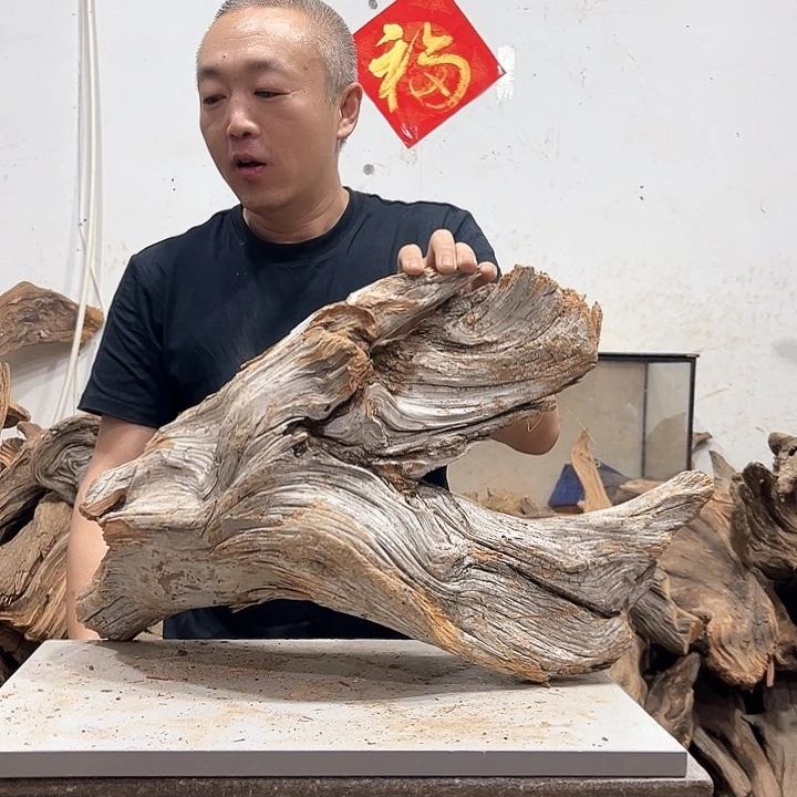 柏木飞*我们都是好孩子呀我也