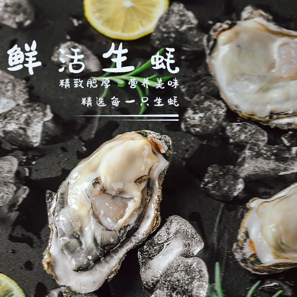乳山生蚝5斤顺丰发货送吃蚝三件套