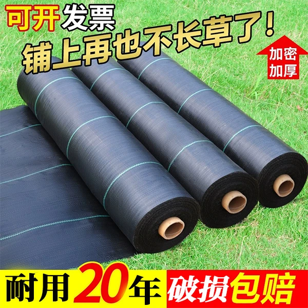 防草布农用地布除草抗老化加厚耐用地布园艺果树果园大棚盖灭草布