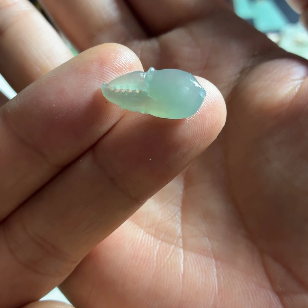 定制翡翠未镶嵌蟹钳
