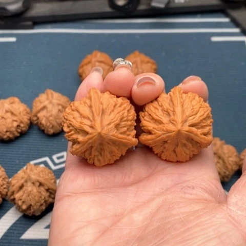 橄榄核手串/手链文山三棱36