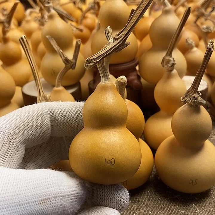 文玩葫芦 完美主义者 慎拍100