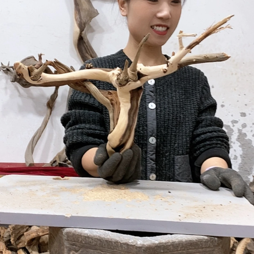 【闪购商品】柏木加*吧我们都是好孩子