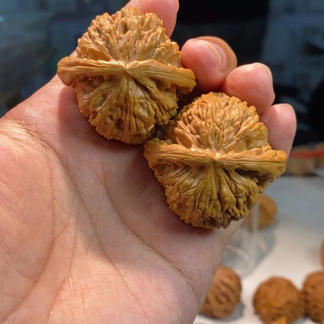 文玩核桃把件白狮子43.5尺004