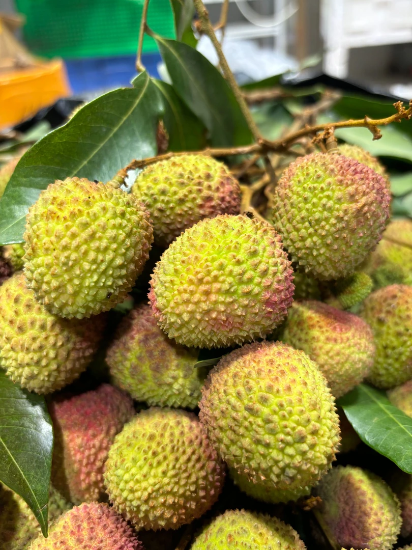 顺丰包邮增城妃子笑产地果园老树现摘当季新鲜增城妃子笑荔枝