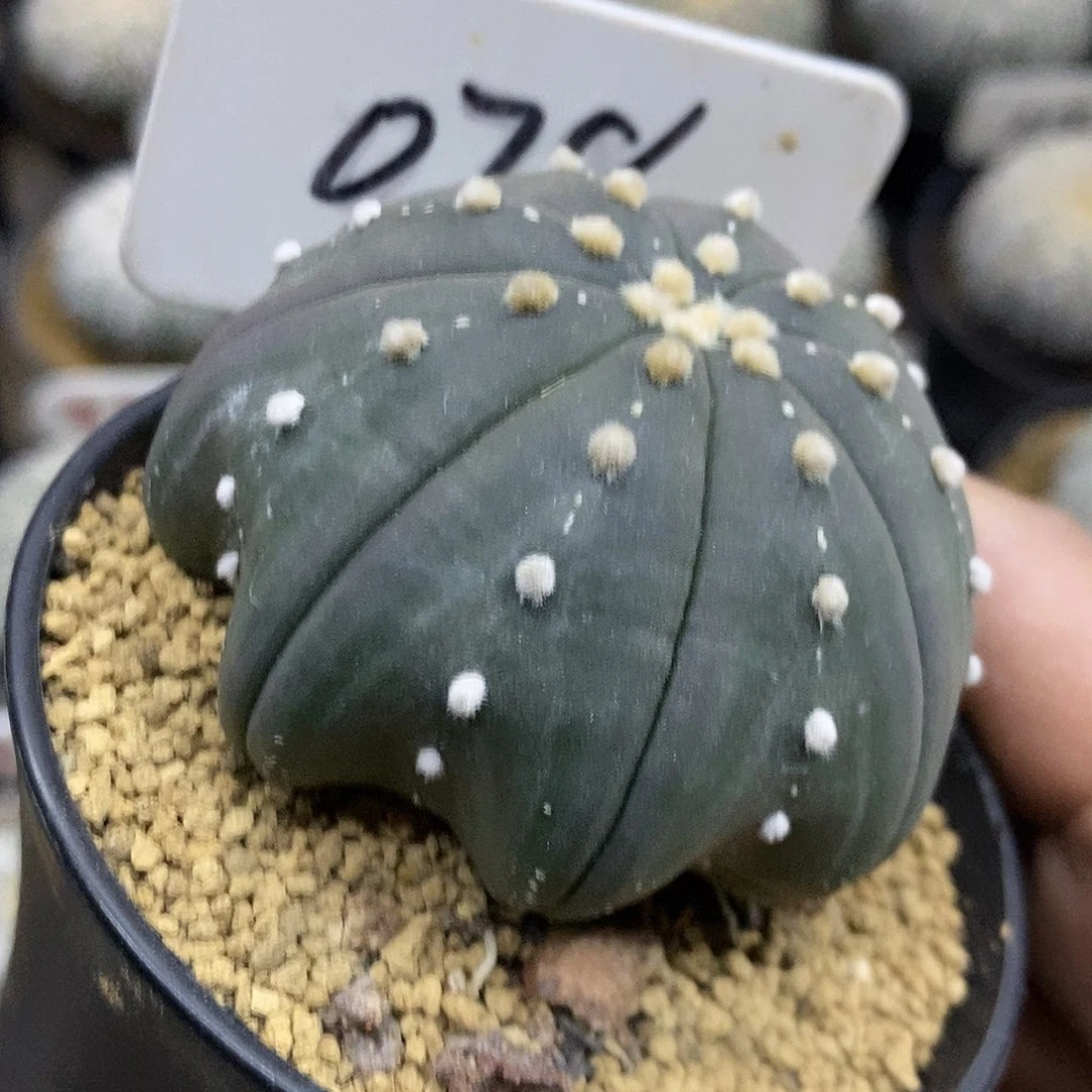 078福利特价来了特价啦