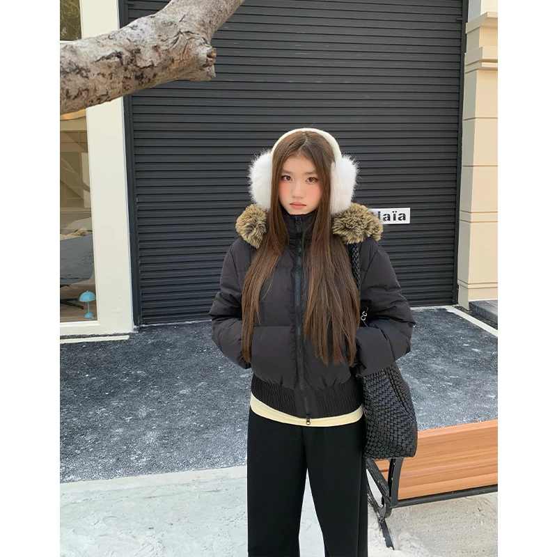 橘子树在哪儿韩版保暖连帽羽绒服女秋冬收腰显瘦正肩大毛领外套