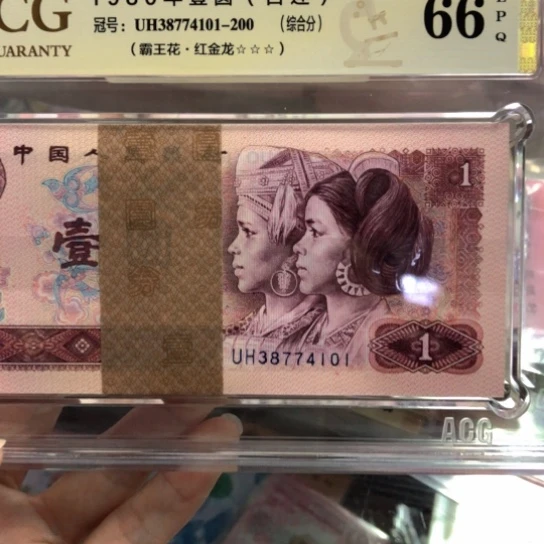 38774101百连红金龙———————