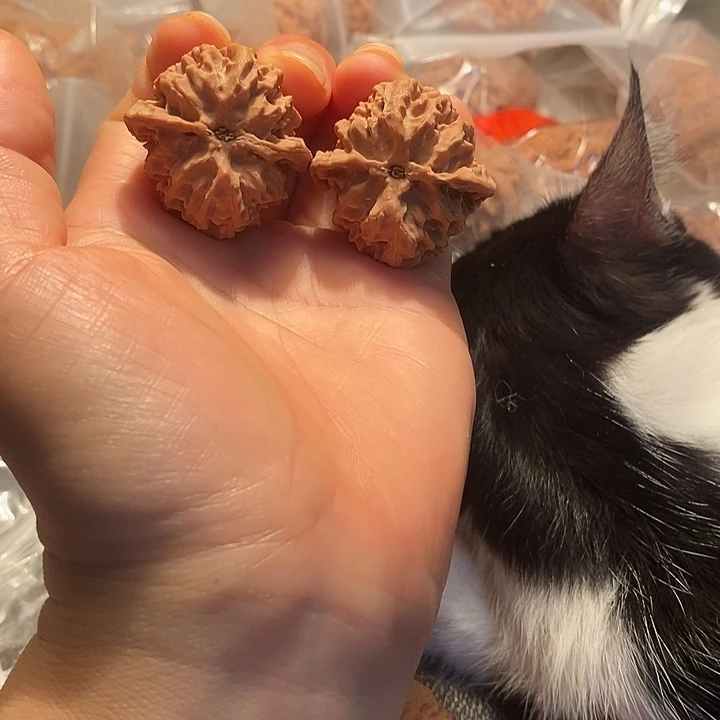 核桃手串/手链最**象