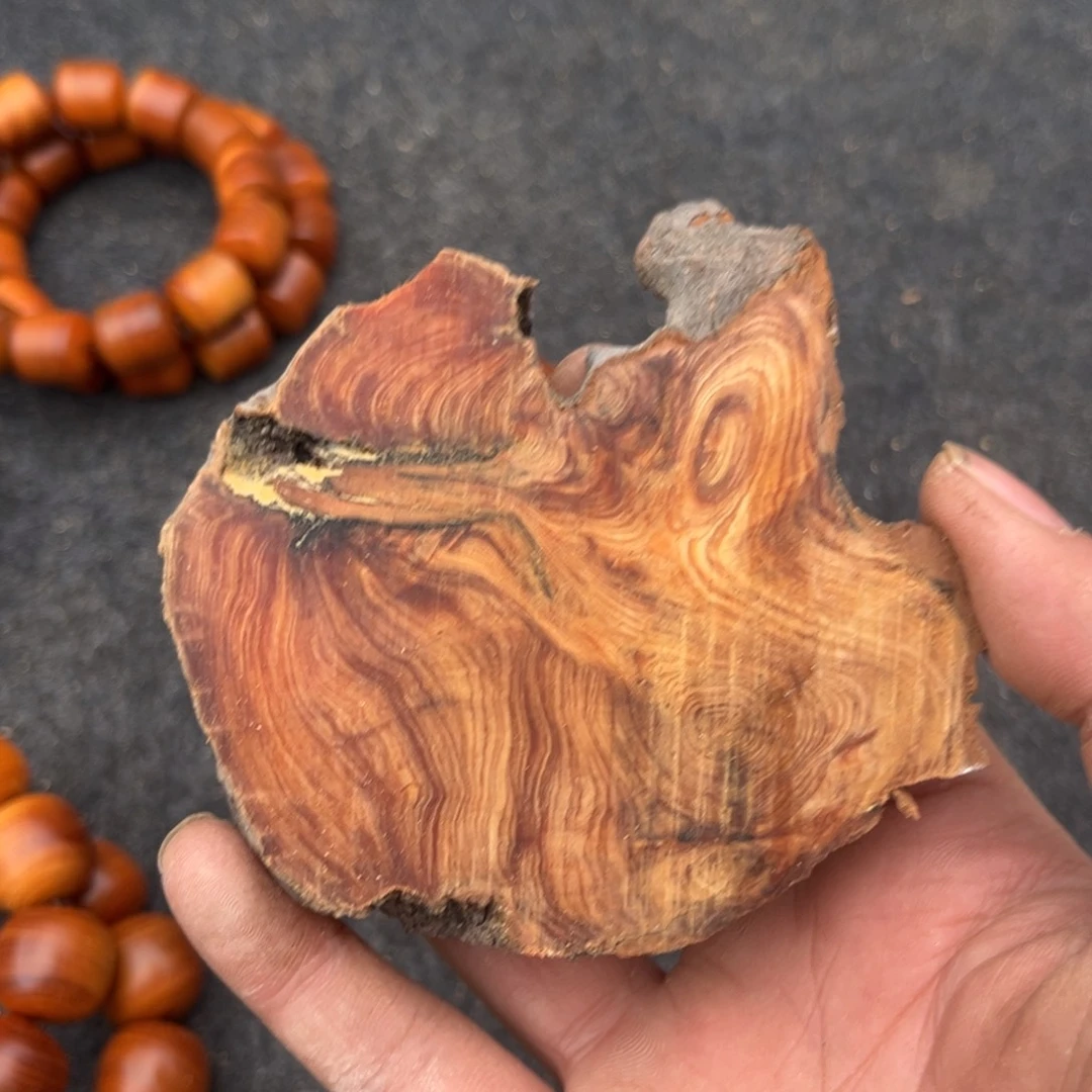 柏木（崖柏）南太行崖柏切片