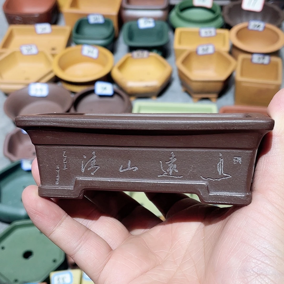 紫砂小盆10*8*3cmmmmm