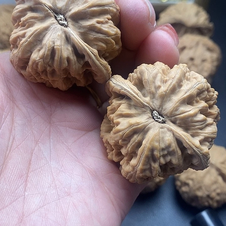 享***活吊坠龙脊菩提粗筋45