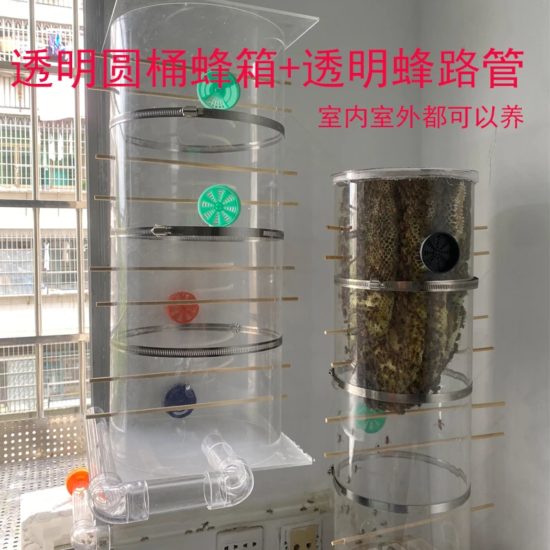 透明蜂箱透明蜂路管室内外养蜂箱一整套全套网红爆款直播展示同款
