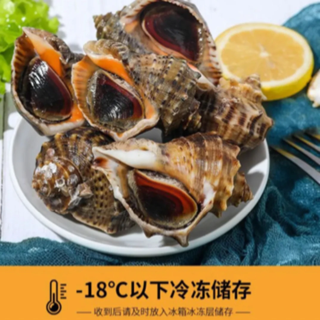 鲜活大海螺共计4斤装（买3斤海螺送一斤花甲肉带一斤蛤蜊）新鲜包肥