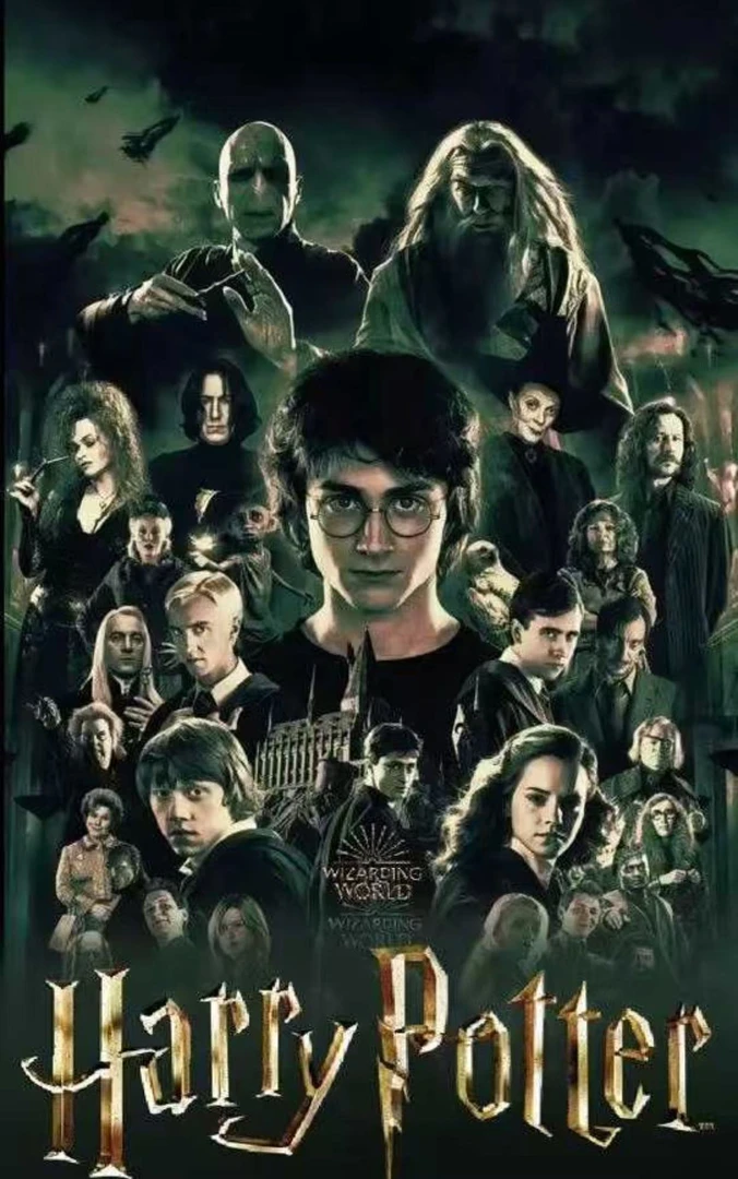 【拆盒】哈利波特魔杖盲盒（默认代拆）