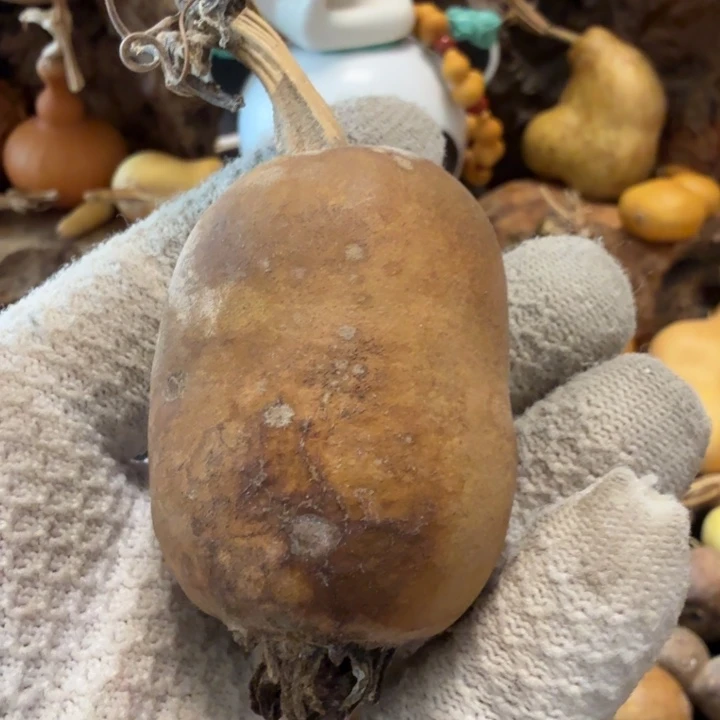 普***r77777777788898999990