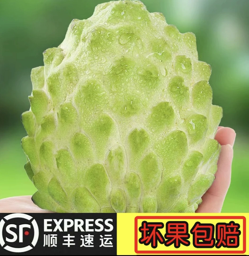 第六代释迦果园新鲜现摘精选优质凤梨释迦果顺丰快递包邮精品A果