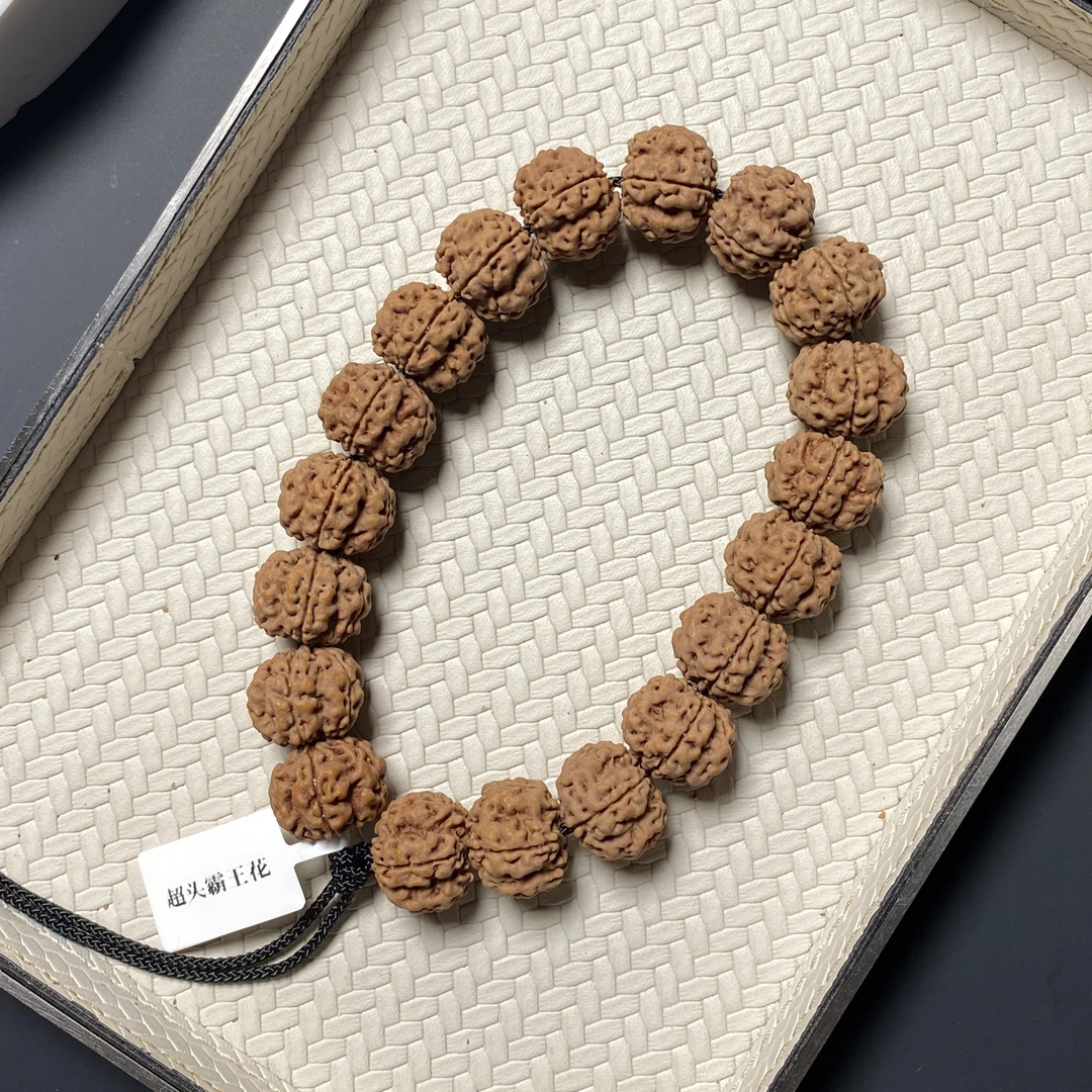 【超头霸王花】五瓣深沟高龙脊梅花小金刚无色差牛筋红质地瓷实