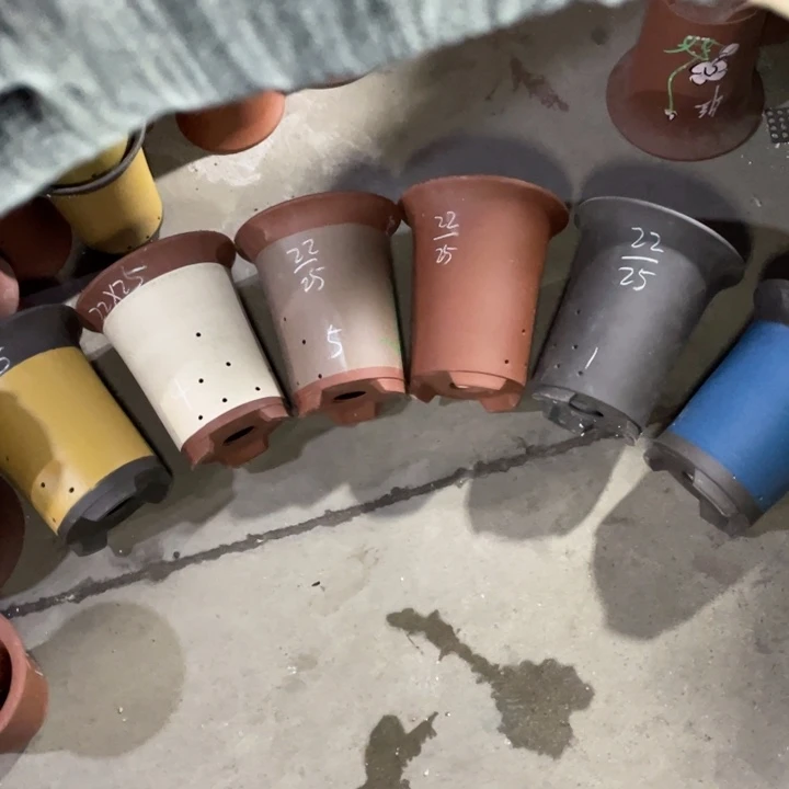 周三周四这是事实自始至终