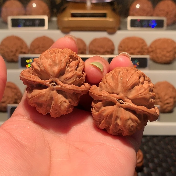 文玩核桃把件雪狮