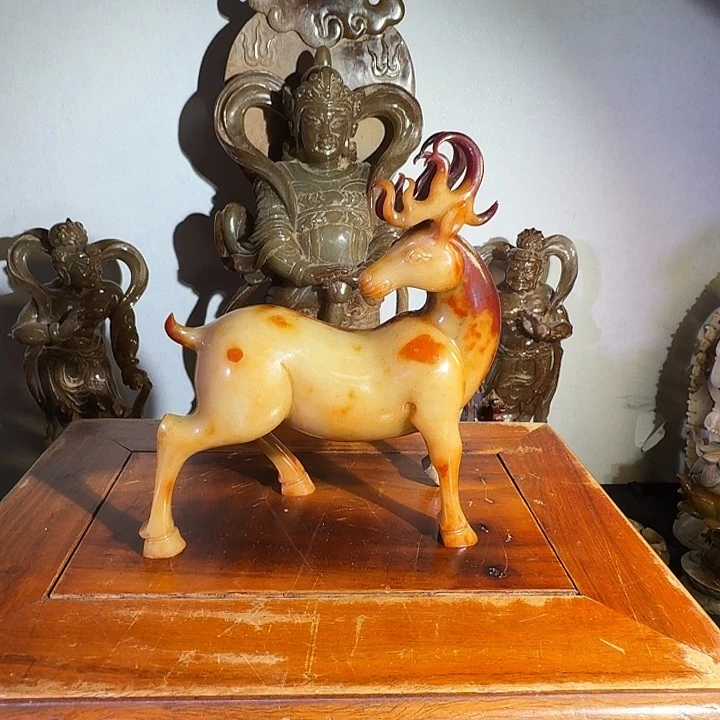 哈哈哈哈哈哈哈高****6