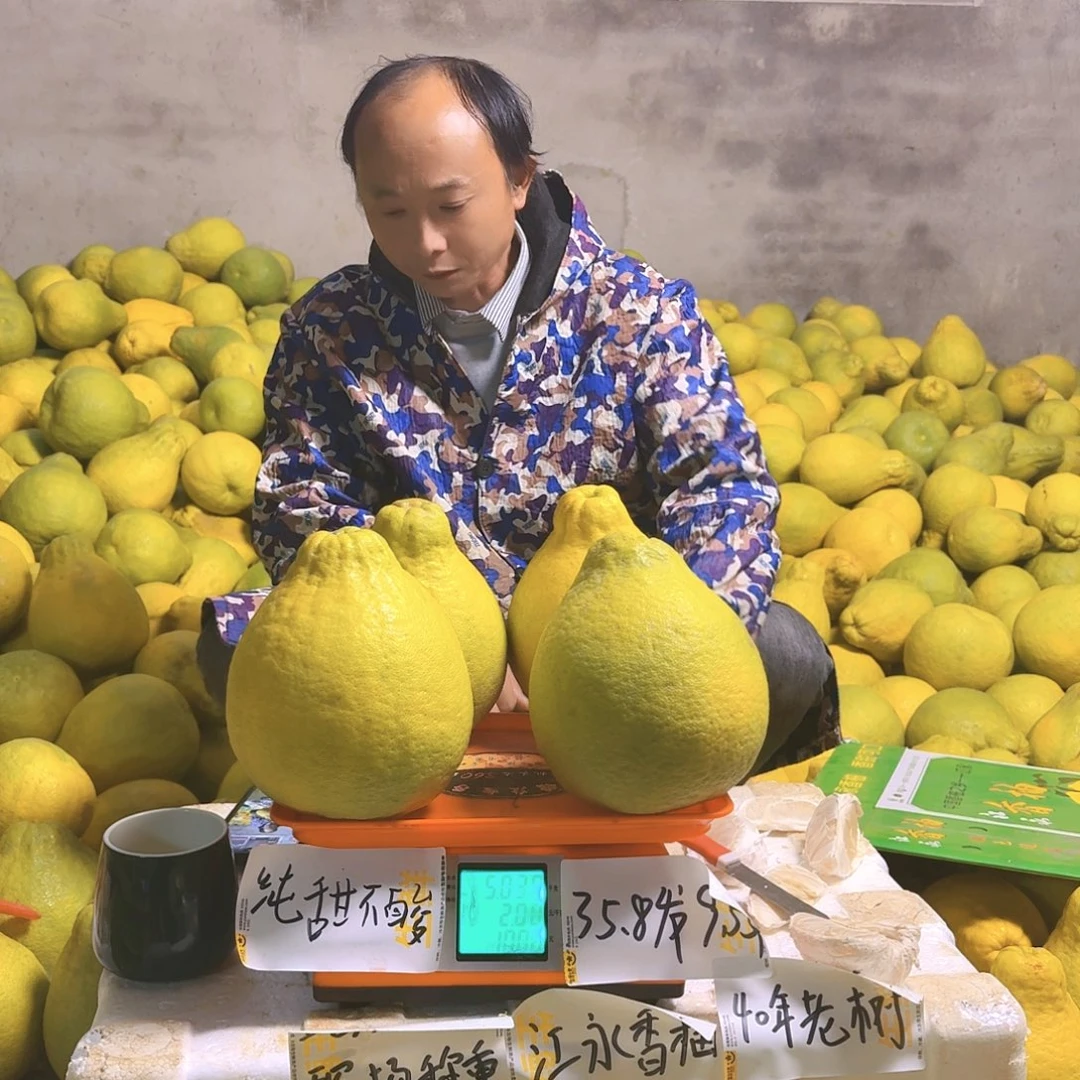黎***兰文旦柚江永沙田柚纯甜