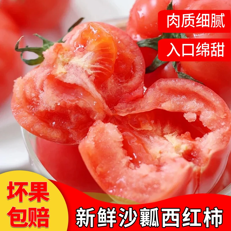西红柿沙瓤新鲜采摘自然成熟软糯香甜皮薄营养酸甜